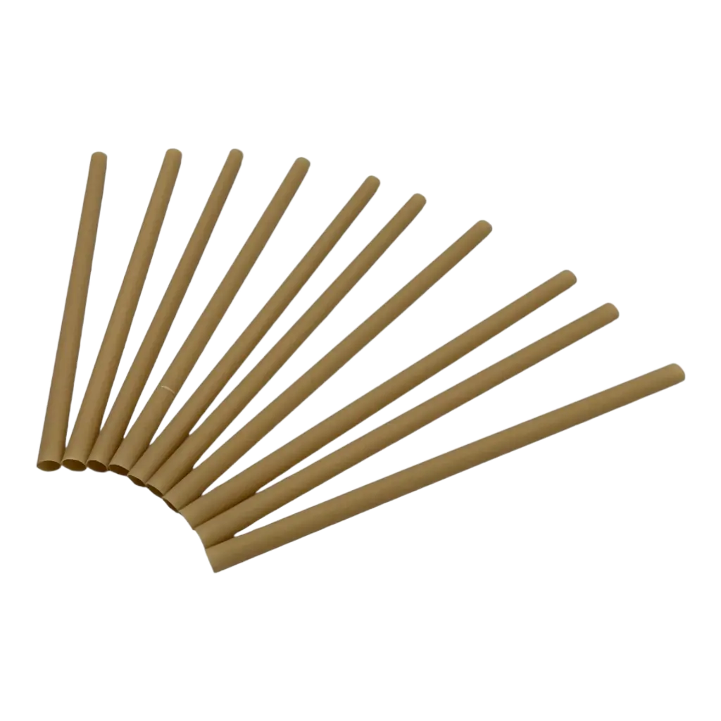 Paja de fibra vegetal biodegradable (lote de 250) - 6x140 mm